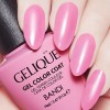 Гель для ногтей цветной NO.GF122 «BANDI GELIQUE GEL COLOR COAT» 14 мл - Beauty Business - Выбор профессионалов!