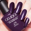 Гель для ногтей цветной NO.GS312 «BANDI GELIQUE GEL COLOR COAT» 14 ml - Beauty Business - Выбор профессионалов!