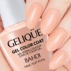 Гель для ногтей цветной NO.GSH 641 «BANDI GELIQUE GEL COLOR COAT» 14 ml - Beauty Business - Выбор профессионалов!