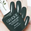 Гель для ногтей цветной NO.GF735 «BANDI GELIQUE GEL COLOR COAT» 14 ml - Beauty Business - Выбор профессионалов!