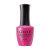 Гель для ногтей цветной NO.GF157 «BANDI GELIQUE GEL COLOR COAT» 14 мл - Beauty Business - Выбор профессионалов!