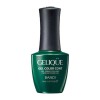 Гель для ногтей цветной NO.GF726 «BANDI GELIQUE GEL COLOR COAT» 14 ml - Beauty Business - Выбор профессионалов!