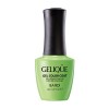Гель для ногтей цветной NO.GF738 «BANDI GELIQUE GEL COLOR COAT» 14 ml - Beauty Business - Выбор профессионалов!