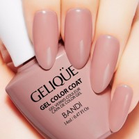 Гель для ногтей цветной NO.GSH134 «BANDI GELIQUE GEL COLOR COAT» 14 ml - Beauty Business - Выбор профессионалов!