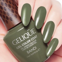 Гель для ногтей цветной NO.GF727 «BANDI GELIQUE GEL COLOR COAT» 14 ml - Beauty Business - Выбор профессионалов!