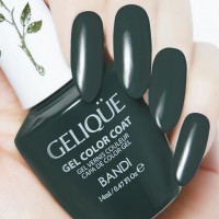 Гель для ногтей цветной NO.GF735 «BANDI GELIQUE GEL COLOR COAT» 14 ml - Beauty Business - Выбор профессионалов!