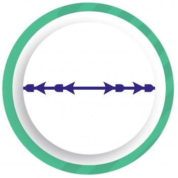 COG ROCKET MOLDING DOUBLE HALF TYPE Cannula L PDO (SZ). Прочная объемная и литая нить типа SZ - Beauty Business - Выбор профессионалов!